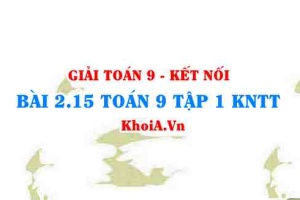 Bài 2.15 SGK Toán 9 tập 1 Kết nối tri thức